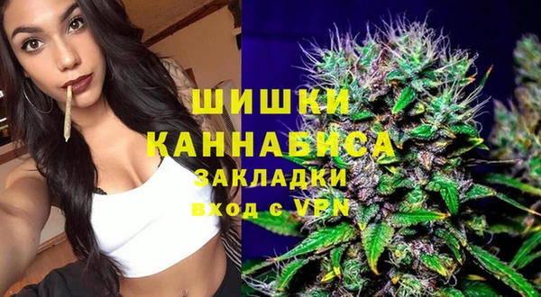 spice Карпинск
