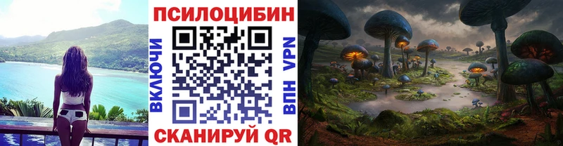 Галлюциногенные грибы MAGIC MUSHROOMS  Купить  Оренбург 