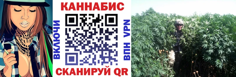 Купить закладки  Оренбург  Бошки Шишки OG Kush 